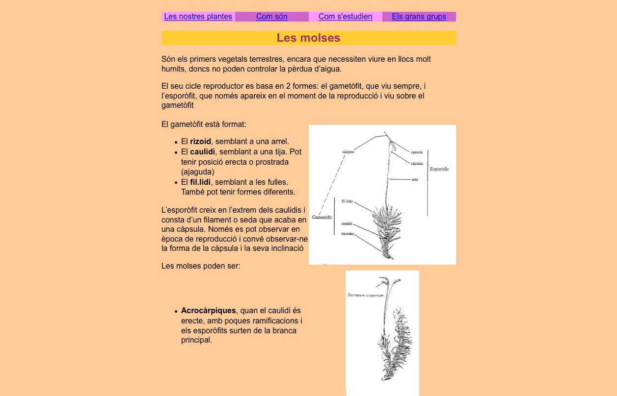 Les molses | Recurso educativo 33711