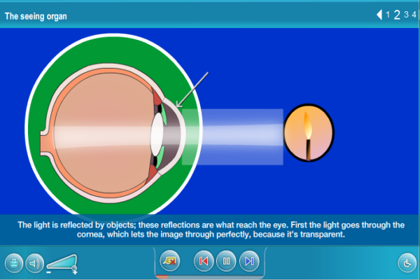 The seeing organ | Recurso educativo 39488