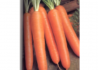 Bits de Inteligencia: verduras, hortalizas y legumbres | Recurso educativo 40143