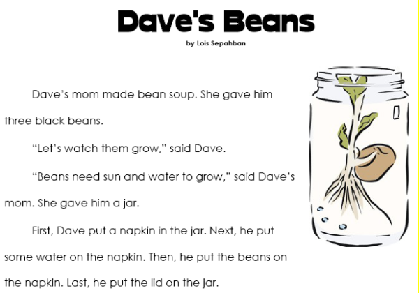 Dave's beans | Recurso educativo 42880