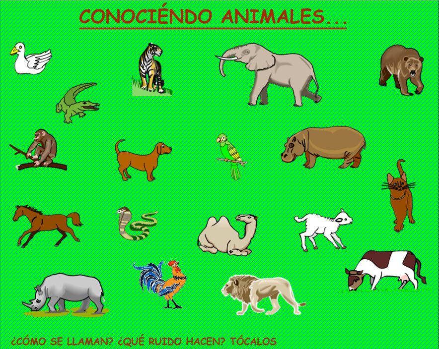 Conociendo los animales | Recurso educativo 49222