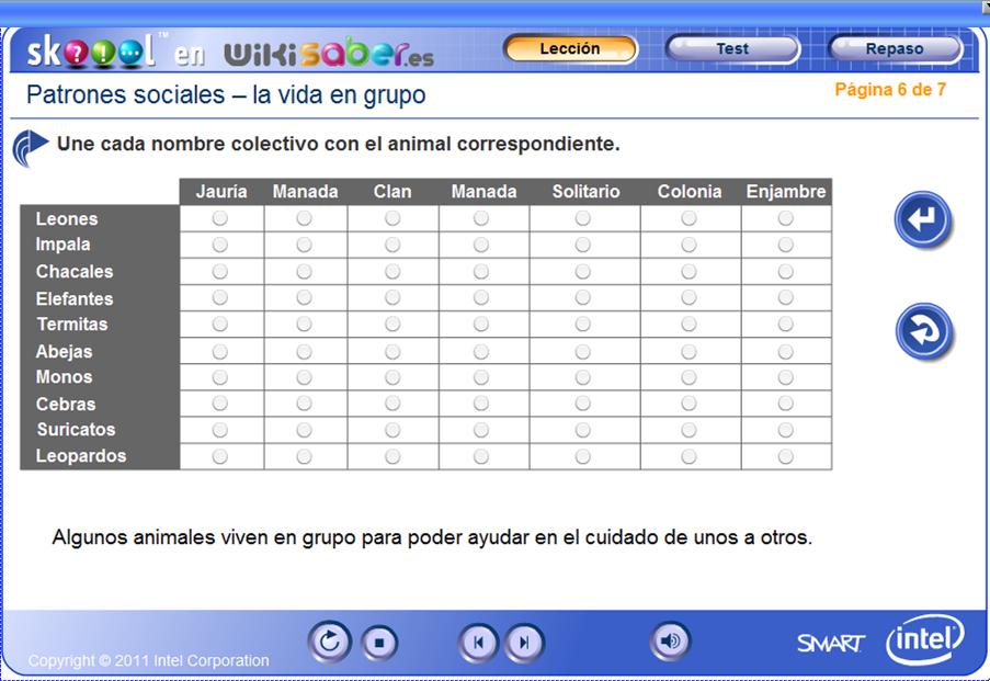 Patrones sociales: vida en grupo | Recurso educativo 49223