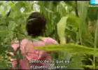 Guaraníes II: Ñande ereko (nuestra cultura) | Recurso educativo 49388