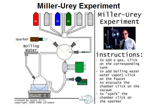 L'experiment de Miller | Recurso educativo 49748