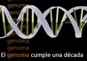 El genoma cumple una década | Recurso educativo 53675