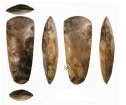 Stone technology in the Neolithic Age. Polished axeheads | Recurso educativo 58136