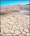 La desertificación en España | Recurso educativo 18171