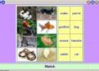 Our pets | Recurso educativo 3367