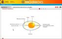 Desarrollo de huevos de gallina | Recurso educativo 8991