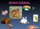 Els animals | Recurso educativo 77287