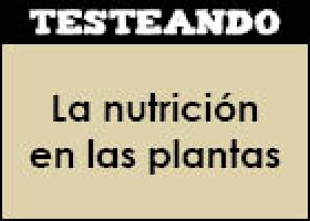 La nutrición en las plantas | Recurso educativo 350712