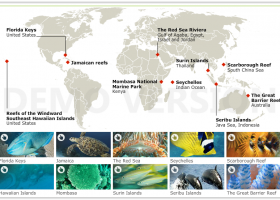 Coral reefs around the world | Recurso educativo 725506