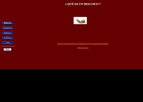 Mol·luscs | Recurso educativo 729920