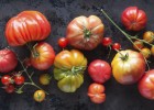 Secrets To Growing Plump Tomatoes | Recurso educativo 731130