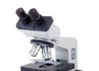 El microscopi òptic | Recurso educativo 740438