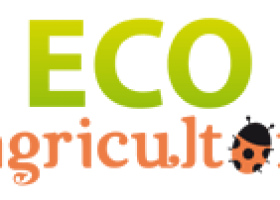 Reproducción de plantas: los esquejes | Recurso educativo 741026