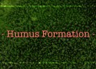 Humus Formation | Recurso educativo 744919