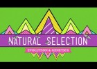 Natural Selection - Crash Course Biology | Recurso educativo 749197