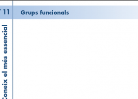 T. 11 Grups funcionals | Recurso educativo 752837