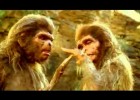 Homo habilis | Recurso educativo 764171