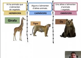 Els animals s'alimenten | Recurso educativo 768547