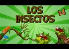 Os insectos | Recurso educativo 768964