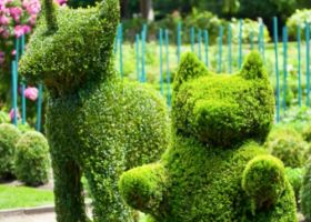 120 Amazing Statues Made With Plants | Recurso educativo 771580