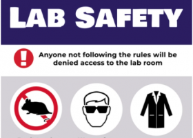 Safety in the laboratory | Recurso educativo 784501