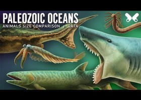 Animals aquàtics del Paleozoic | Recurso educativo 788426