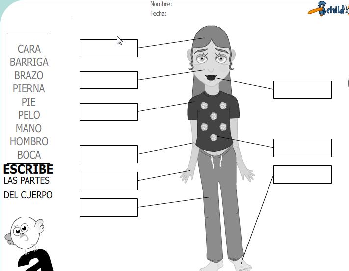 Fichas Partes Del Cuerpo Recurso Educativo Tiching