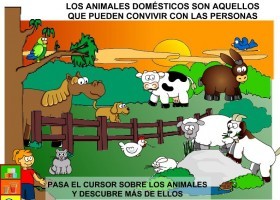 Los animales domésticos | Recurso educativo 676549