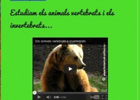 Estudiam els animals vertebrats i els invertebrats | Recurso educativo 729848