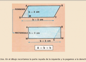 Área del romboide, triángulo, rectángulo y cuadrado | Recurso educativo 742143