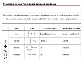 Grups funcionals | Recurso educativo 760952