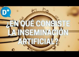 ¿En qué consiste la inseminación artificial? | Recurso educativo 790428