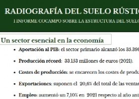 Radiografía do solo rústico en España | Recurso educativo 790685